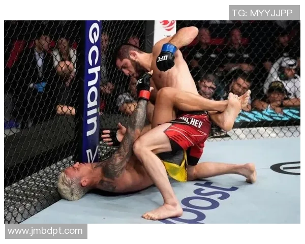 加索维卡与安郅马哈激战在即谁将赢得这场关键对决